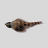 files/Fish-Skull_Skulpin_Bunny_Grizzly.png