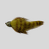 files/Fish-Skull_Skulpin_Bunny_Olive.png