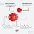 files/FlipFuel-Infographic.jpg