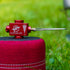 files/FlipFuelDeviceOutdoors.jpg