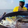 Palmarius Exploder 180mm Popper (Floating)