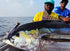 files/FullSizeRender_145c79de-2711-4d8f-98ab-75197c87e73a.jpg