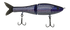 files/GRatt-AmericanShad-OGSP008-013415992280.png