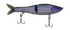 files/GRatt-AmericanShad-PP008-787416473344.png
