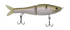 files/GRatt-BlushTrout-PP004-080101369985.png