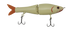 files/GRatt-Bone-PP011-080101369947.png