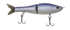 files/GRatt-GizzardShad-PP006-080101370004.png