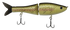 files/GRatt-LiteTrout-POP012-723706121915.png