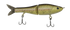 files/GRatt-LiteTrout-PP012-723706121892.png