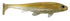 files/G_CHitch.png