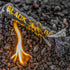 files/Grab-_-Go-Fire-Starter-Kit-Fire-Starting-Stick-Sample.jpg