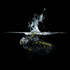 files/H15RWork_underwater.png