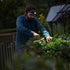 files/H7R_Core_Garden_1.jpg