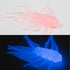 files/HELLCAT_CCGLOW_b38802a5-f70d-4c44-ac27-b7bbb8b0d3b5.jpg