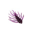 files/HELLCAT_JuneBug.jpg