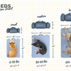 HEST Dog Bed