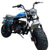 TrailMaster Hurricane 200PRO Mini Bike, 196cc 6.5hp with Electric Start, Torque Converter, Dual Disc Brakes, Front & Rear Suspension, LED Headlight