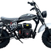 TrailMaster Hurricane 200PRO Mini Bike, 196cc 6.5hp with Electric Start, Torque Converter, Dual Disc Brakes, Front & Rear Suspension, LED Headlight