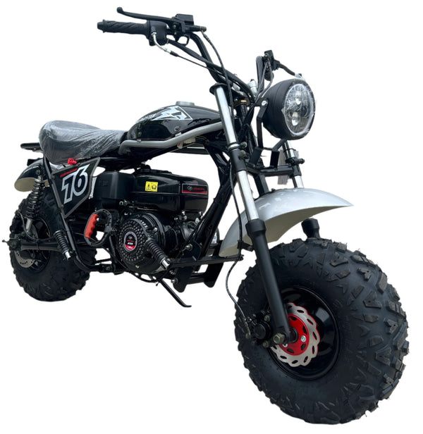 TrailMaster Hurricane 200PRO Mini Bike, 196cc 6.5hp with Electric Start, Torque Converter, Dual Disc Brakes, Front & Rear Suspension, LED Headlight