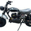 TrailMaster Hurricane 200PRO Mini Bike, 196cc 6.5hp with Electric Start, Torque Converter, Dual Disc Brakes, Front & Rear Suspension, LED Headlight