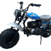 TrailMaster Hurricane 200PRO Mini Bike, 196cc 6.5hp with Electric Start, Torque Converter, Dual Disc Brakes, Front & Rear Suspension, LED Headlight