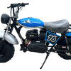 TrailMaster Hurricane 200PRO Mini Bike, 196cc 6.5hp with Electric Start, Torque Converter, Dual Disc Brakes, Front & Rear Suspension, LED Headlight