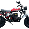 TrailMaster Hurricane 200PRO Mini Bike, 196cc 6.5hp with Electric Start, Torque Converter, Dual Disc Brakes, Front & Rear Suspension, LED Headlight