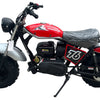 TrailMaster Hurricane 200PRO Mini Bike, 196cc 6.5hp with Electric Start, Torque Converter, Dual Disc Brakes, Front & Rear Suspension, LED Headlight