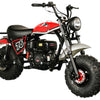 TrailMaster Hurricane 200X Mini Bike, 196cc 6.5hp with Torque Converter, Dual Disc Brake, Front & Rear Suspension