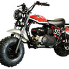 TrailMaster Hurricane 200PRO Mini Bike, 196cc 6.5hp with Electric Start, Torque Converter, Dual Disc Brakes, Front & Rear Suspension, LED Headlight