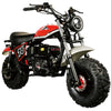 TrailMaster Hurricane 200PRO Mini Bike, 196cc 6.5hp with Electric Start, Torque Converter, Dual Disc Brakes, Front & Rear Suspension, LED Headlight