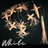 files/IMG-0464.png