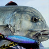 Palmarius Exploder 180mm Popper (Floating)