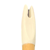 King Arrows - Youth Wood Arrows - 6 Pack