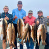 Salt Series Fishing Rods