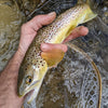 Pocket Water Wide - Bamboo Fly Fishing Landing Net/Hand Net