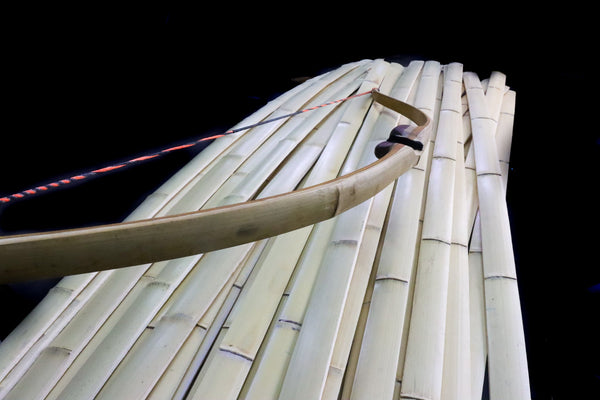 Hickory Stave