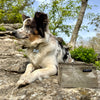 Pike Trail Dyneema Dog Bowl