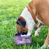 Pike Trail Dyneema Dog Bowl
