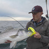 Magictail Striper Special Fishing Rods