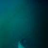 Magictail Top Water Spook Lures