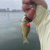The Three Most Popular Cute Floats For Tanago Fishing/Micro Fishing