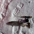 files/Ice_Fishing_Rod_and_Trout_on_Snow.jpg