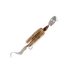 files/KamakazeBw-wally_1.png
