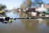 files/KistlerUltraLightonWater7.jpg