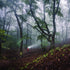 files/Ledlenser_HF8R_Core_7.jpg