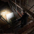files/Ledlenser_HF8R_Work_8.jpg