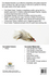 files/MASKED_BANDIT_FLY_TYING_KIT.png