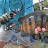 Ultra Light Fishing Rod