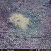 Munchies Deer Feed
